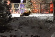 20180201145351-fda0f788