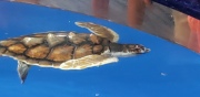20190628_123731