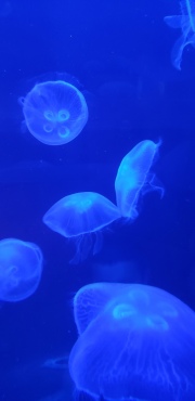 20190628_124920