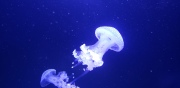 20190628_125319