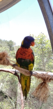 20190628_133937