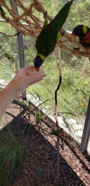 20190628_134033
