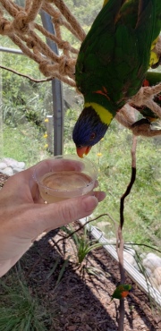20190628_134037